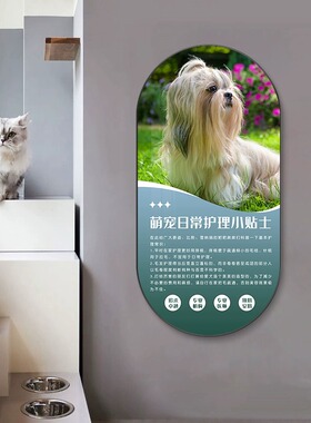 宠物店装饰画猫狗护理知识科普萌宠挂画宠物医院动物诊所宣传壁画