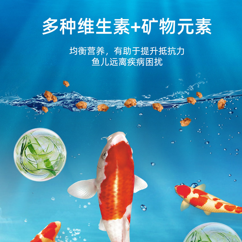 日清丸红鱼粮小型鱼饲料小颗粒斑马鱼食孔雀鱼食幼鱼苗日清 b1b2,淘宝优惠券,粉丝福利购,淘宝优惠卷