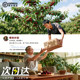 Dalian Meizao cherry gift box