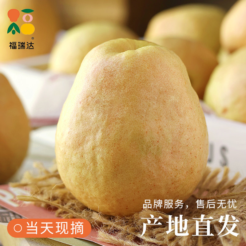 广西软糯红心芭乐水果新鲜包邮应季番石榴脆甜胭脂红整箱鸡屎果,淘宝优惠券,粉丝福利购,淘宝优惠卷