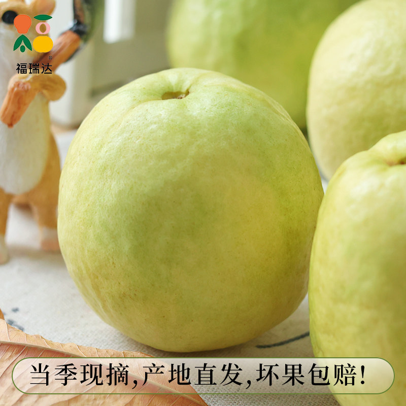 广西番石榴白心芭乐冰淇淋口感当季新鲜水果应季软糯脆甜整箱包邮,淘宝优惠券,粉丝福利购,淘宝优惠卷