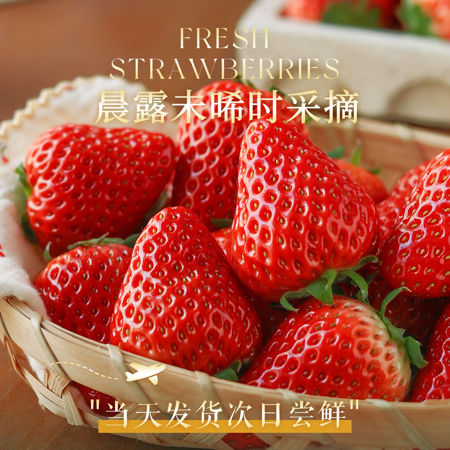 正宗红颜奶油草莓99红颜牛奶大奶油新鲜水果礼盒当季整箱包邮顺丰,淘宝优惠券,粉丝福利购,淘宝优惠卷