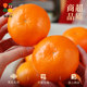 Officially recommended freshly picked mandarin oranges! Ready stock
