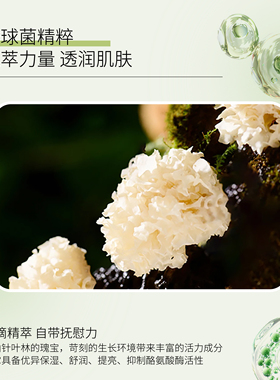 【官方正品】蓝海龟植物净肤水嫩面膜滑溜溜补水当当舒缓亮晶晶