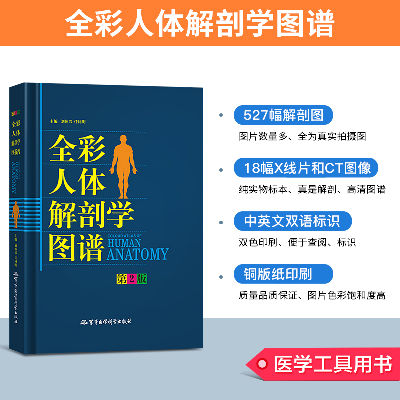 人体解剖彩色图谱第2版二版全彩人体解剖学图谱(精)彩色学图谱搭解剖列车奈特人体解剖学彩色图谱教材书西医解剖学外科医生用书-图0