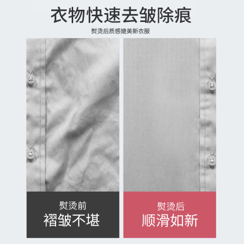 志高大蒸汽挂烫机家用熨斗烫衣服小型手持熨烫机挂立式电熨斗正品-图0