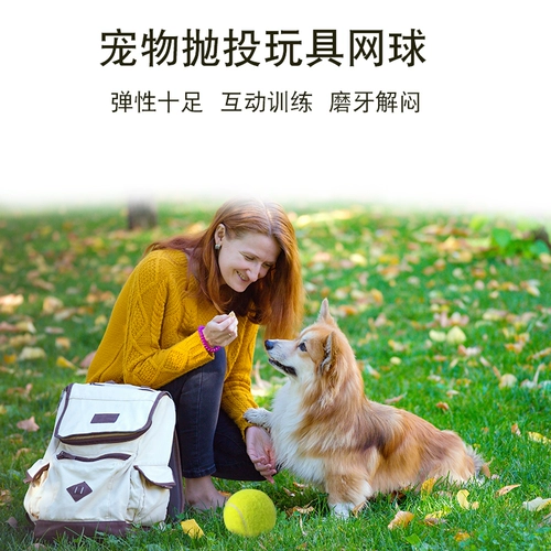 Шесть лет -магазин пять цветов игрушки для собак BALL Большие собаки и лошади, молярные эластичные шарики, кусая бесплатные доставки щенков.