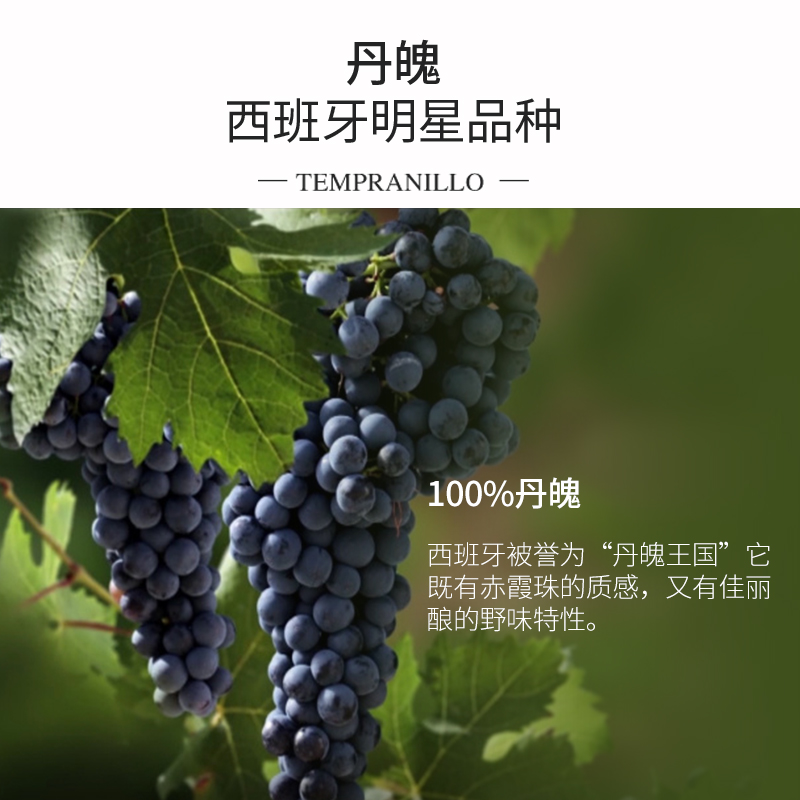 麦德龙红酒西班牙原装进口里奥哈DOC级陈酿丹魄干红葡萄酒750mlx2