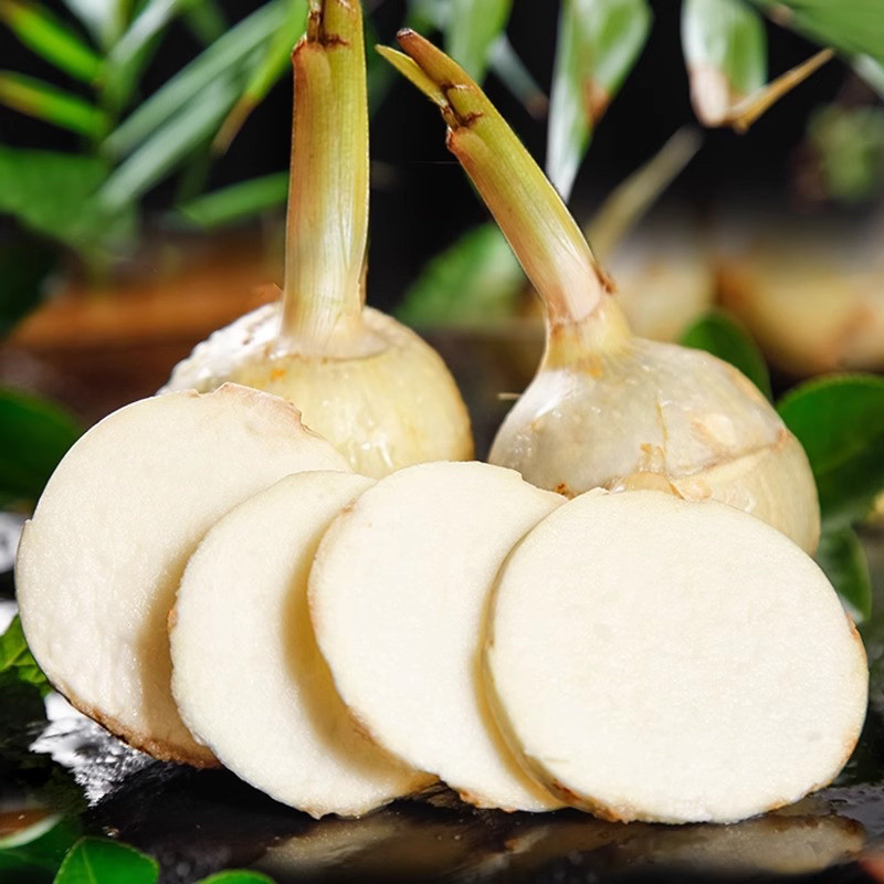 云南大号茨菇新鲜粉糯白慈姑菇农家现挖野地茨菰种苗马蹄蔬菜,淘宝优惠券,粉丝福利购,淘宝优惠卷