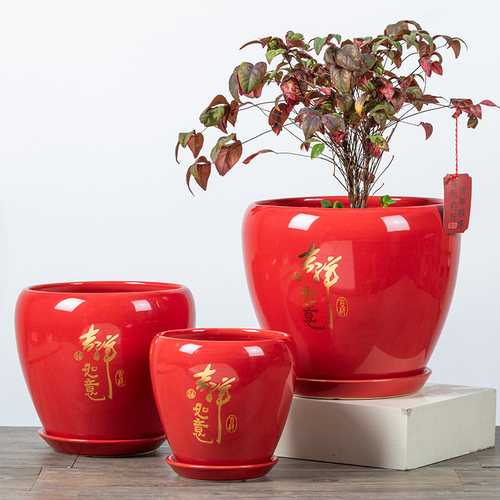 创意加厚陶瓷花盆大码特大号带托盘盆栽多肉绿植吊兰个性阳台花盆 - 图2