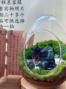 苔藓微景观生态瓶山水意境绿植装饰书房茶室造景步步高升桌面小景