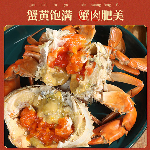三门青蟹鲜活特大红膏蟹大螃蟹超大黄油蟹肉蟹红鲟蟹母蟹年货礼盒 - 图1