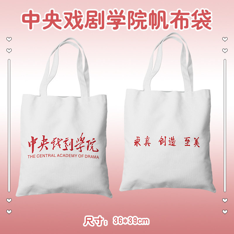 艺术类院校帆布袋 北京电影广州美术上海戏剧学院书包单肩手提包
