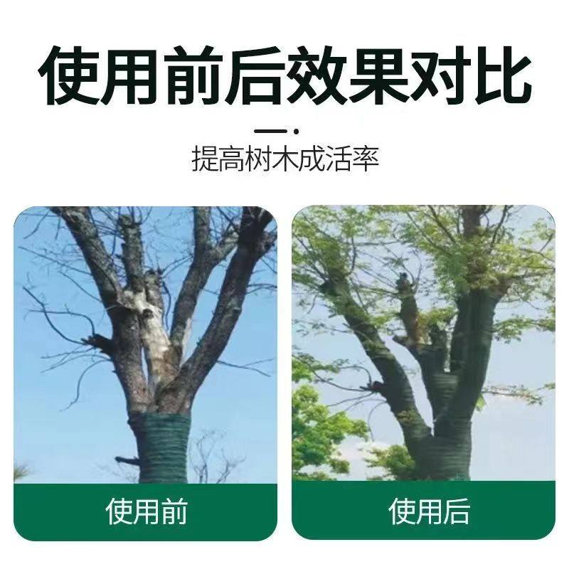 大树营养液吊针液输液复活树木移栽树苗果树通用激活液专用吊袋液,淘宝优惠券,粉丝福利购,淘宝优惠卷