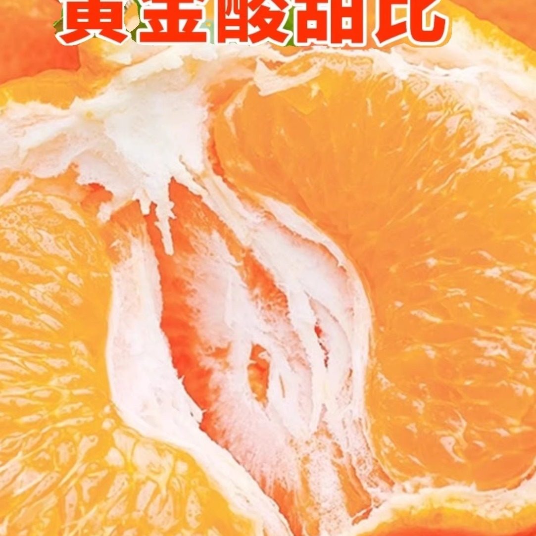 四川眉山春见耙耙柑优质水果现剪当季新鲜水果脆嫩多汁坏果包赔,淘宝优惠券,粉丝福利购,淘宝优惠卷