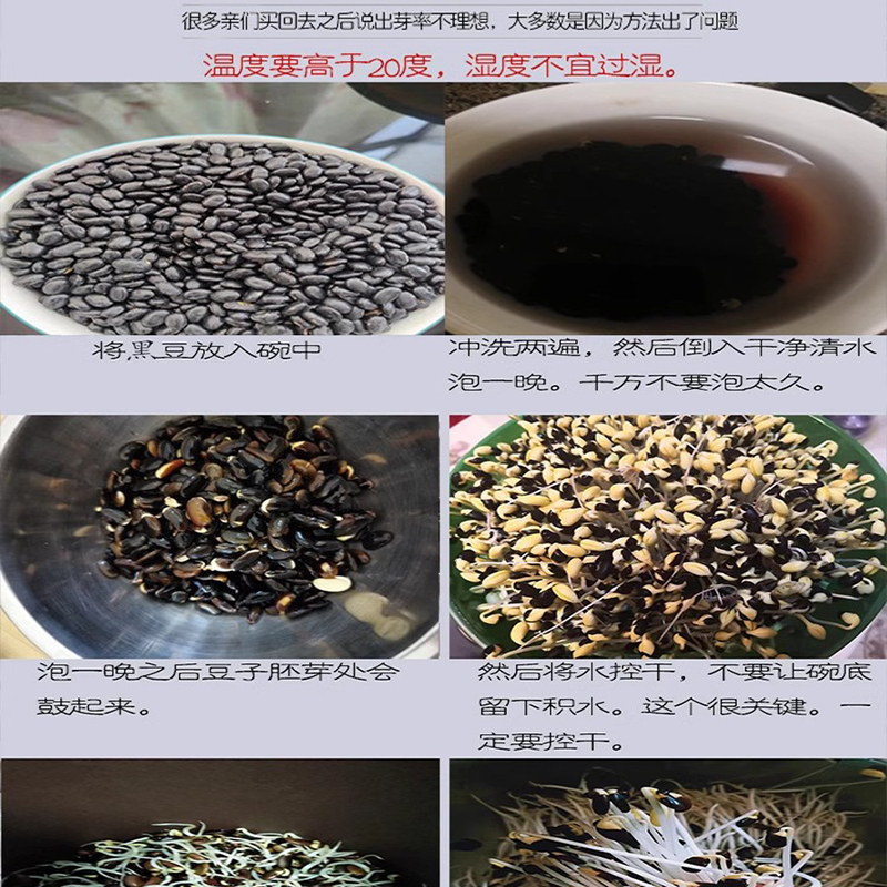 肾形黑豆 5斤非转基因农家自种黑黄豆打豆浆发豆芽有机黄芯黑小豆 - 图3