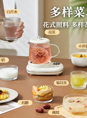 养生壶迷你纯玻璃保温一体全自动家用办公室小型一人烧水煮茶器