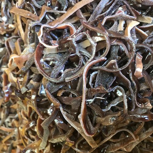 木耳丝干货商用白背毛木耳柳州螺蛳粉米粉拉面专用5斤1箱包邮 - 图0