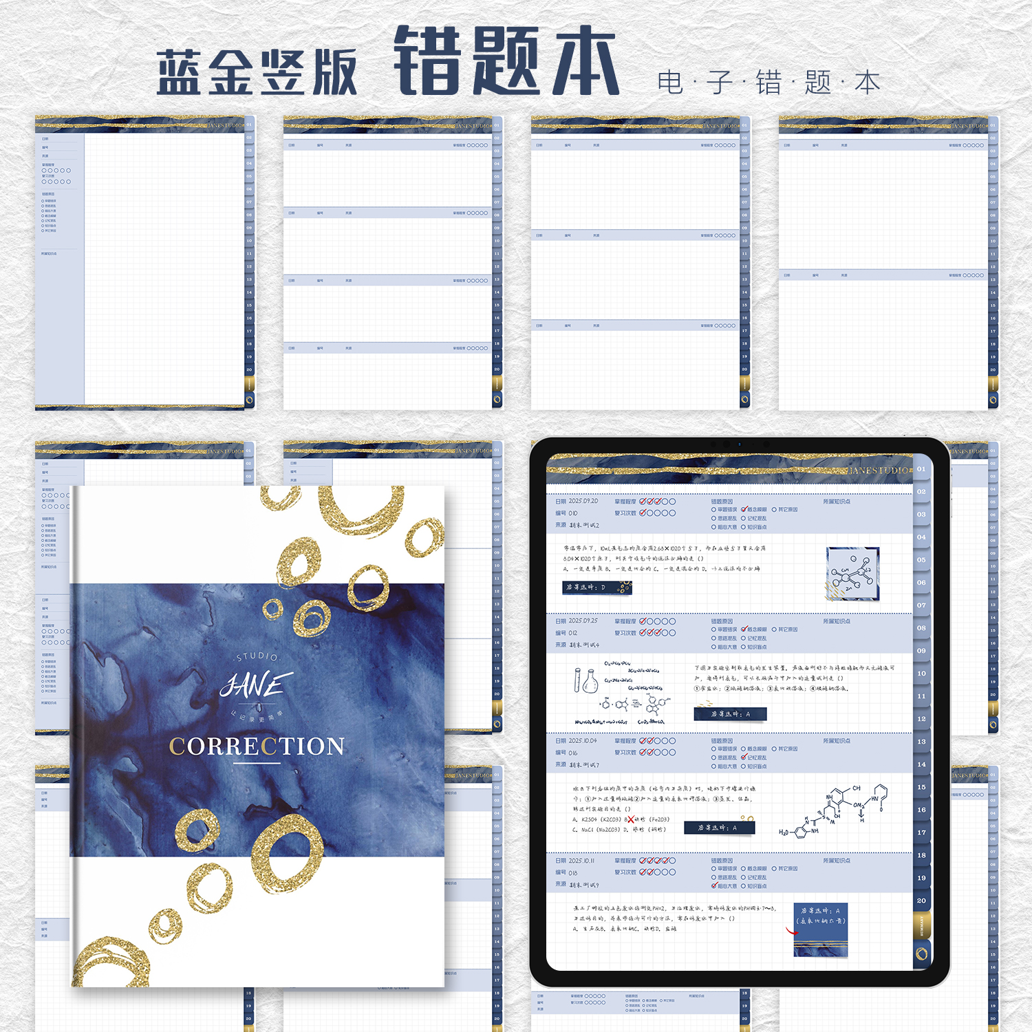 蓝金竖版iPad电子手帐笔记本模板错题本安卓goodnotes/notability - 图0