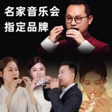 Takaro 12 -Hole Scholar вводит в среднюю звучание C Tune Tune Двенадцати -отверстие в профессиональной смоле TAOLONG SARIN