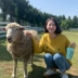 Quần áo Handu 2019 mùa thu mới của phụ nữ Hàn Quốc áo len dệt kim dài tay áo len MR9126 - Áo len Áo len