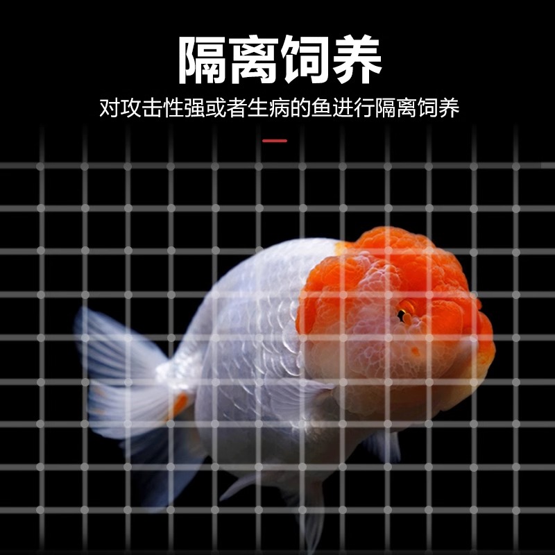 鱼缸隔离板隔离网可拼接格子塑料分隔板底滤板鱼隔挡板水族箱隔断 - 图1