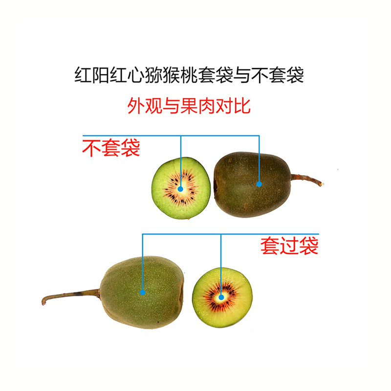 大巴山猕猴桃园红绿心专用套果袋纸袋子大果农元泰绿果林新惠阳牌 - 图2