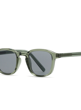 欧美跨境潮流街拍复古文艺丙烯插芯墨镜摩登魅力INS太阳镜2