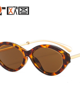 926新款小框跨境ins太阳镜女 时尚椭圆框小香墨镜女潮sunglasses
