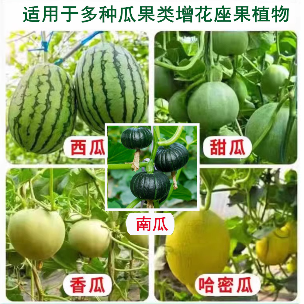 甜瓜西瓜冬瓜南黄金小白免点瓜花授粉人工专用座坐剂果精药防落素,淘宝优惠券,粉丝福利购,淘宝优惠卷