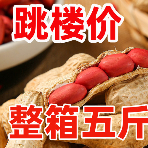 2025年新鲜红皮花生带壳生花生带壳新鲜晒干炒补生的血红衣花生货 - 图0