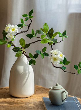 海棠仿真绿植假花仿真花摆设盆栽