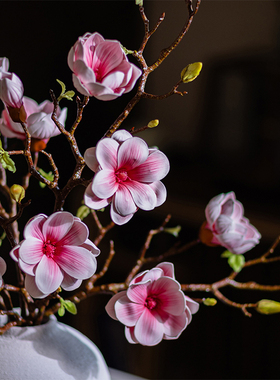 【掬涵】禅意仿真花玉兰花假花摆件客厅餐桌花装饰仿生干花干枝