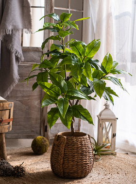 仿真绿植月桂树仿生植物盆栽摆件