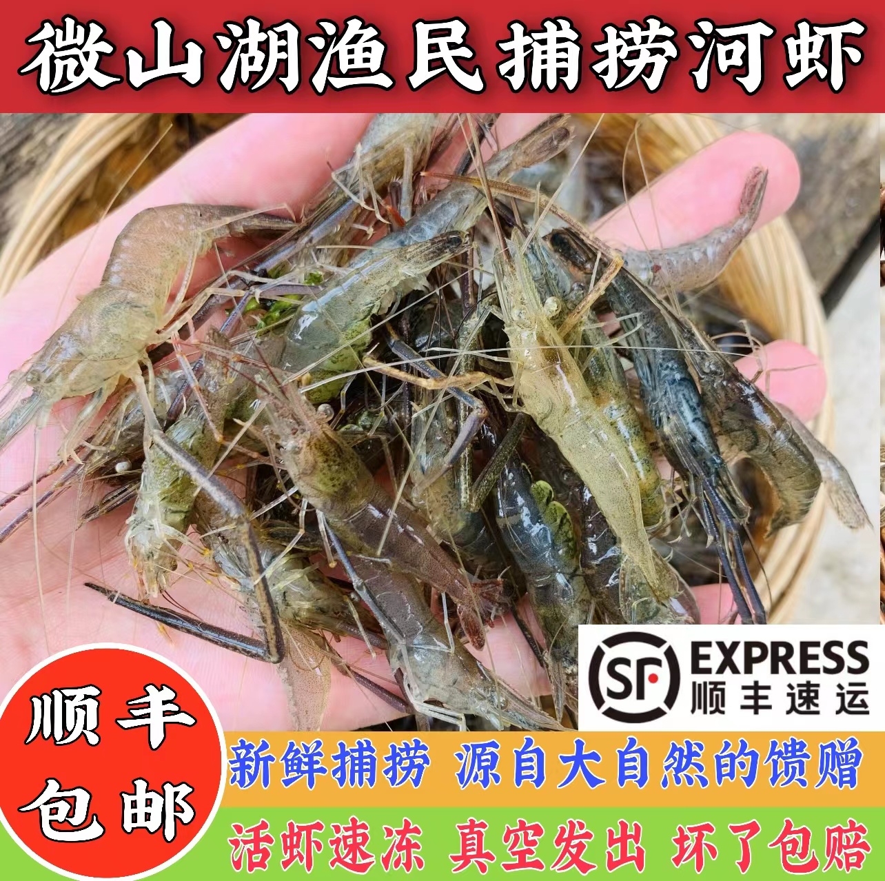 【当日捕捞】微山湖河虾淡水新鲜鲜活青虾水产急冻小草虾醉虾土虾