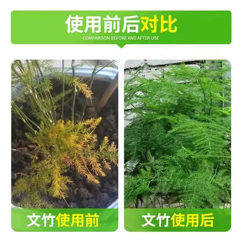 文竹专用营养液肥料盆栽绿植物叶子发黄枯瘦干尖烂根落叶壮根绿叶 - 图1