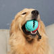 Dog toy teeth grinding stick to relieve boredom and sound ball
