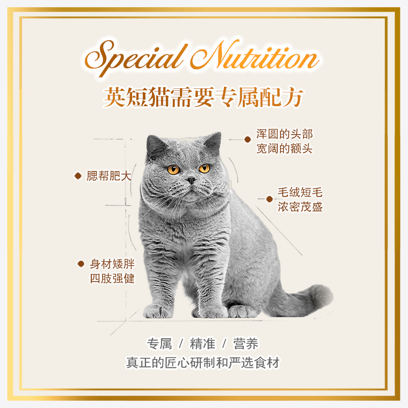 猫乐适英短蓝猫金银渐层专用猫粮成幼猫增肥发腮营养全价无谷CF89-图0