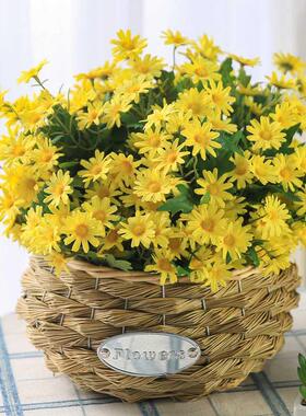 塑料绢花摆件摄影道具小雏菊