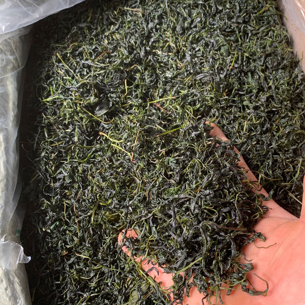 四季花草茶新货小叶苦丁茶青山绿水苦丁茶散装小叶苦丁茶叶500克