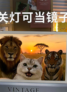 猫meme哈基米小猫的非洲大草原镜子灯光画桌面装饰摆件小夜灯礼物