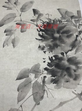 明 徐渭 水墨牡丹图轴纸本 艺术微喷国画复制品 100x33厘米现货