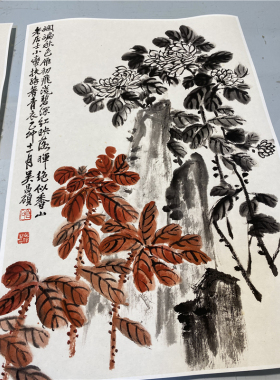 清末吴昌硕花卉册页8桢真迹高清微喷复制学习临摹画稿素材装饰画