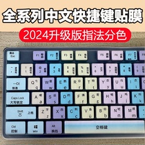 Applicable fourth grade one-three-two-five-six students to practice the literary pinyin film in the matching adhesive film of the typist keyboard