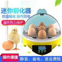 Hatchery Incubators Incubators Incubators Small Home Type Fully Automatic Smart Chicks Duck Goose Pigeon Quail Hatching Box