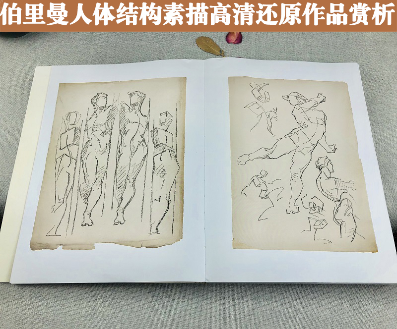 伯里曼人体结构绘画教学彩色版 高清还原图画稿版 人体结构造型手绘技法艺用人体构解剖人物模型素描速写临摹动漫美术结构教程书 - 图3