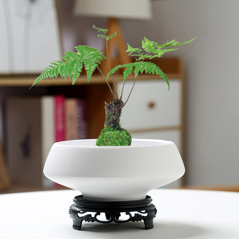 【新客立减】人气苔藓球花盆陶瓷中式亚光桌面摆件水培米竹菖蒲水,淘宝优惠券,粉丝福利购,淘宝优惠卷