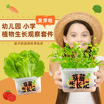 Hydroponic vegetable case small potted children Mini plant planting seed flower grass seed water raised without soil growth observation