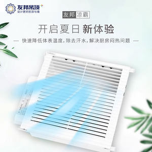 友邦集成吊顶 嵌入式吹风 浴室厨房凉霸风扇垂直风凉霸 FS204