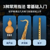 Zani Hair Tube Sax -это вход -Специальный начинающий Электронная Электронная Флейта Совет по профессиональному уровню производительности Zero Foundation